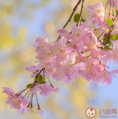 那些得救了的瞬間分享 感覺自己得救了的經歷