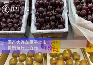 國產車厘子價格升至120元每斤是怎么回事 國產車厘子品質比進口車厘子好嗎