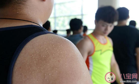 螞蟻莊園3月28日答案：鍛煉的時(shí)候出汗多就代表減肥效果好嗎