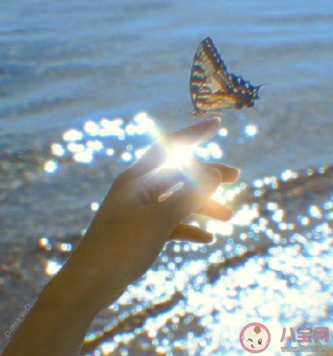 如何看待情感不自信 缺乏情感自信該怎么辦 如何看待情感不自信 缺乏情感自信該怎么辦