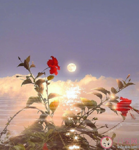 如何看待情感不自信 缺乏情感自信該怎么辦 如何看待情感不自信 缺乏情感自信該怎么辦