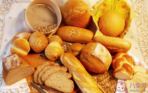 剛出爐的面包怎么保存口感最佳 螞蟻莊園3月29日問題答案