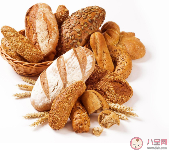 剛出爐的面包怎么保存口感最佳 螞蟻莊園3月29日問題答案