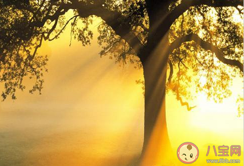 2021三月再見四月你好朋友圈文案 3月再見4月你好說說句子