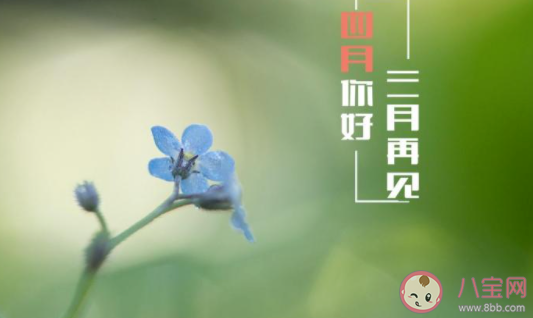 2021四月你好的心情說說 四月你好正能量句子