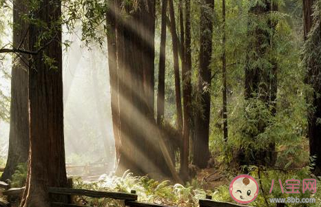 2021四月你好的心情說說 四月你好正能量句子