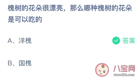 哪種槐樹的花朵是可以吃的 螞蟻莊園3月30日答案 哪種槐樹的花朵是可以吃的 螞蟻莊園3月30日答案