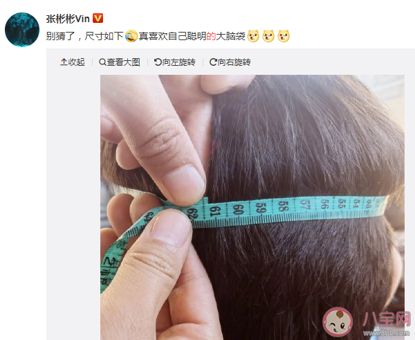 景甜的手和張彬彬的頭對比圖 張彬彬頭圍是多少