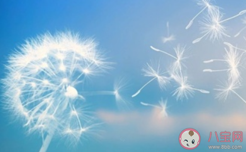 園丁式的父母應該怎么做 園丁式教育的正確方法