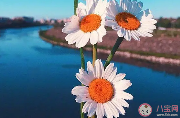 三月最后一天正能量句子 3月最后一天加油說說 三月最后一天正能量句子 3月最后一天加油說說