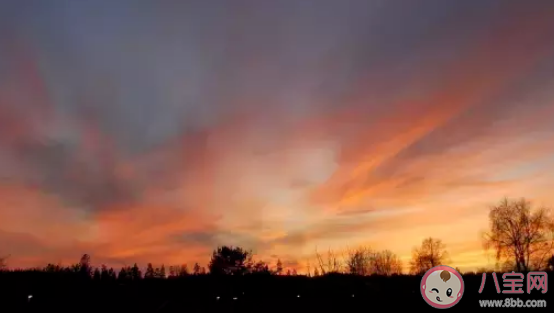 四月第一天愚人節心情說說 四月第一天朋友圈文案 四月第一天愚人節心情說說 四月第一天朋友圈文案