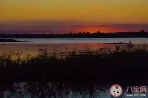 2021四月第一天早安心語 4月第一天正能量說說