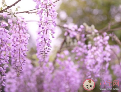 3月最后1天心情感慨2021 三月最后一天的心情句子 3月最后1天心情感慨2021 三月最后一天的心情句子