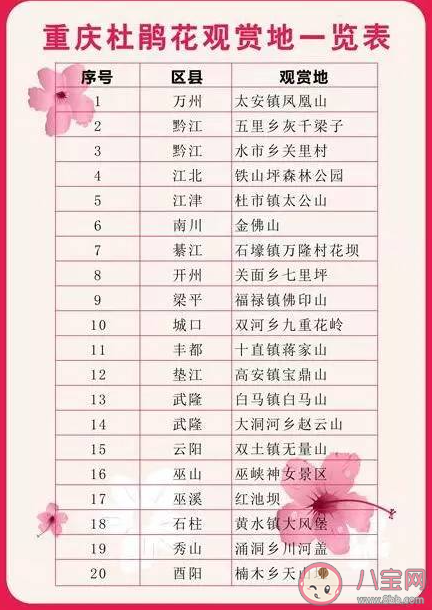 重慶杜鵑花海在哪可以看到 杜鵑花的花期是幾月 重慶杜鵑花海在哪可以看到 杜鵑花的花期是幾月