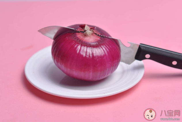 新手鏟屎官要了解的貓咪食物清單 貓咪完全不能吃的東西有哪些