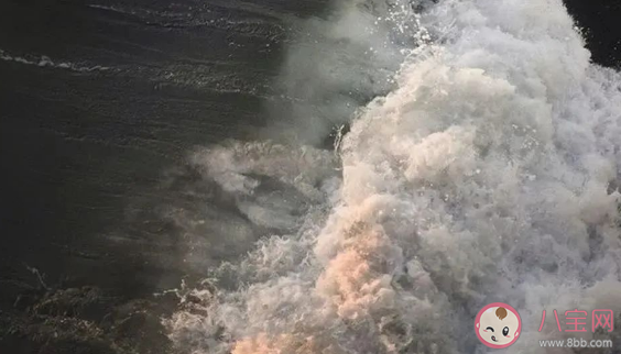 適合愚人節表白的文案句子 愚人節告白的情話句子