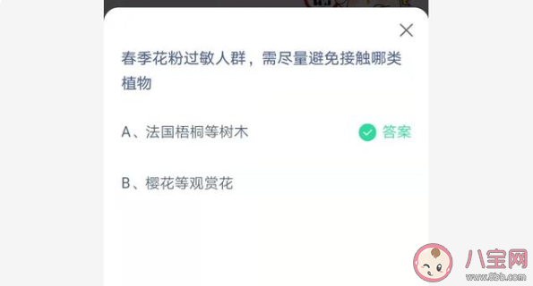 春季花粉過敏人群需避免接觸哪類植物 螞蟻莊園4月2日最新答案