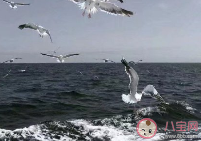 適合愚人節表白的超甜情話 溫暖又可愛的情話句子 適合愚人節表白的超甜情話 溫暖又可愛的情話句子