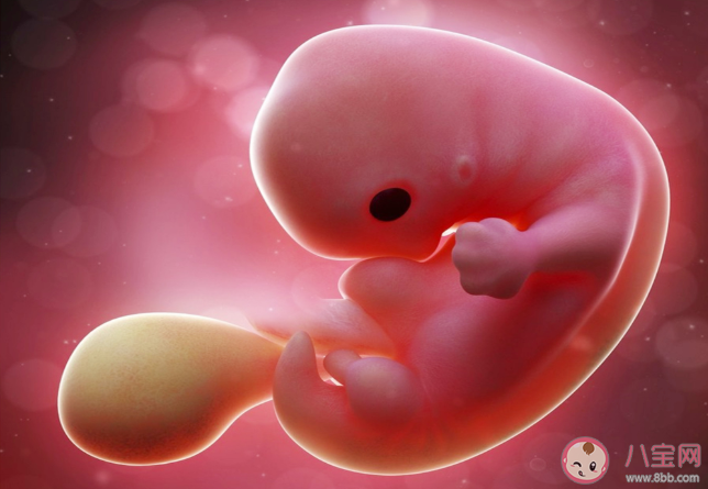 胎停育確診還有必要保胎嗎 胎停育5類(lèi)高危人群