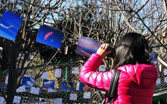 姑娘堅持590天每天畫一朵云怎么回事 畫的云圖案大全 姑娘堅持590天每天畫一朵云怎么回事 畫的云圖案大全