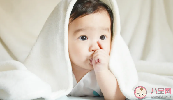 寶寶喜歡吃手應該阻攔嗎 過度吃手家長應該怎么做