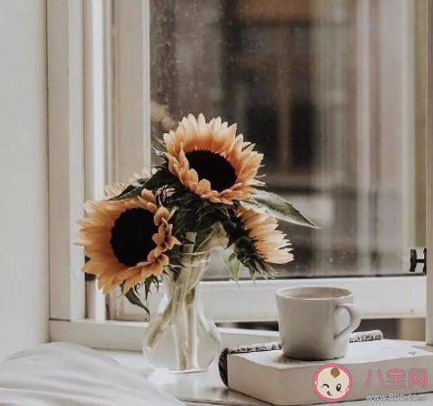 清明節(jié)給朋友發(fā)什么早上好2021 清明節(jié)早安祝福語說說句子2021