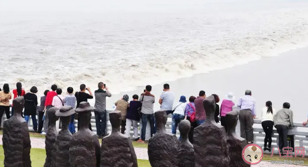 錢塘江觀潮的最佳時節是 螞蟻莊園4月3日答案