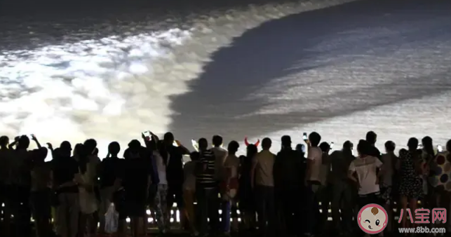 錢塘江觀潮的最佳時節是 螞蟻莊園4月3日答案 錢塘江觀潮的最佳時節是 螞蟻莊園4月3日答案