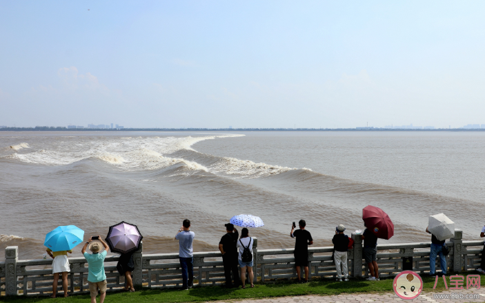 螞蟻莊園4月3日正確答案：錢塘江觀潮最佳時節