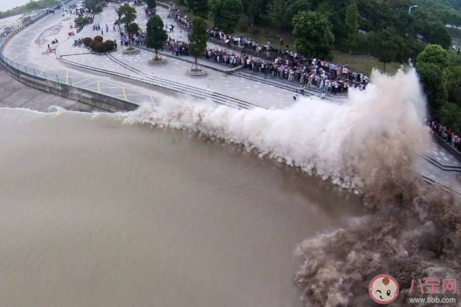螞蟻莊園4月3日正確答案：錢塘江觀潮最佳時節