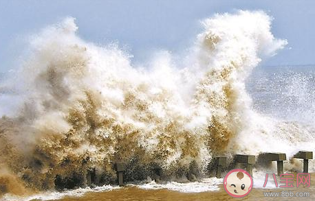 螞蟻莊園錢塘江觀潮最佳時節 4月3日答案介紹 螞蟻莊園錢塘江觀潮最佳時節 4月3日答案介紹