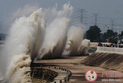 螞蟻莊園錢塘江觀潮最佳時節 4月3日答案介紹 螞蟻莊園錢塘江觀潮最佳時節 4月3日答案介紹