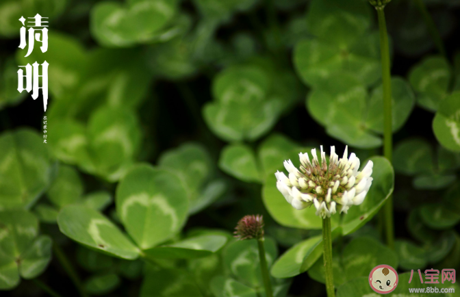 清明節的清明是什么意思 清明節的由來 清明節的清明是什么意思 清明節的由來