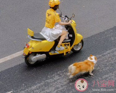 有哪些關(guān)于人間煙火氣的精美短句 充滿人間煙火氣的句子