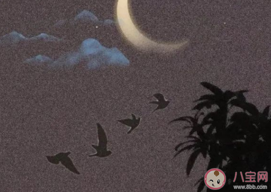 具有人間煙火的唯美經典句子 人間煙火氣的文藝說說 具有人間煙火的唯美經典句子 人間煙火氣的文藝說說