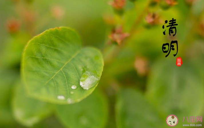 清明節(jié)的兒童小故事有哪些 適合清明節(jié)講給孩子的故事大全 清明節(jié)的兒童小故事有哪些 適合清明節(jié)講給孩子的故事大全