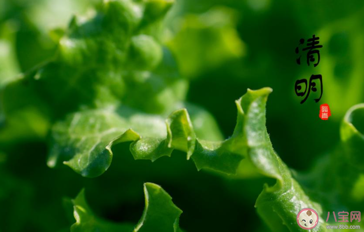 清明節(jié)的兒童小故事有哪些 適合清明節(jié)講給孩子的故事大全 清明節(jié)的兒童小故事有哪些 適合清明節(jié)講給孩子的故事大全