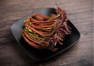 綠葉香椿和紅葉香椿有什么不同 如何吃香椿更健康營養