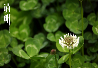 清明節的清明是什么意思 清明節的由來