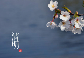 清明節養生吃什么食物好 清明飲食養生要點