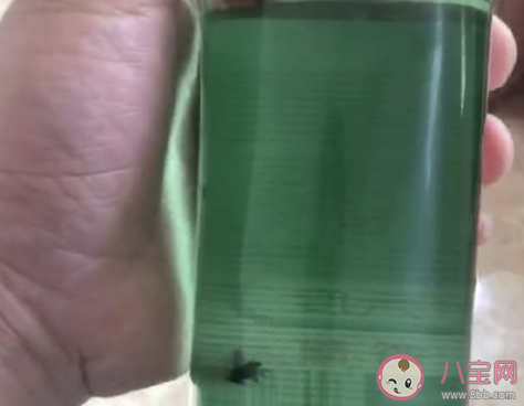 紅星二鍋頭回應酒里泡蒼蠅說了什么 紅星二鍋頭如何辨別真假 紅星二鍋頭回應酒里泡蒼蠅說了什么 紅星二鍋頭如何辨別真假