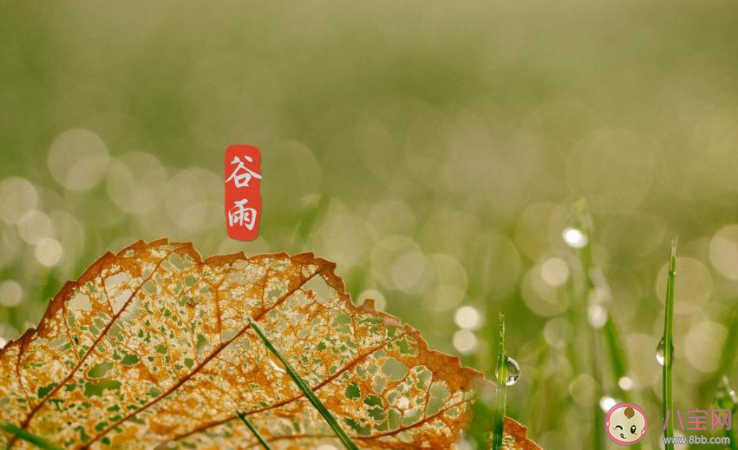 2021谷雨節氣圖片祝福語句子大全 2021谷雨文案祝福語圖片說說