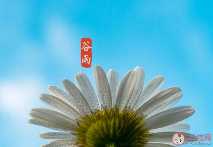 2021谷雨節氣圖片祝福語句子大全 2021谷雨文案祝福語圖片說說