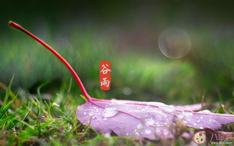 2021谷雨節氣圖片祝福語句子大全 2021谷雨文案祝福語圖片說說