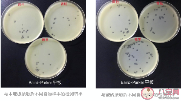 食物掉地上5秒內撿起還能吃嗎 掉地上的食物多久會有細菌 食物掉地上5秒內撿起還能吃嗎 掉地上的食物多久會有細菌