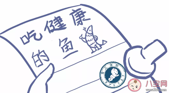 孕期應避免食用哪些魚 孕期不能吃河魚嗎