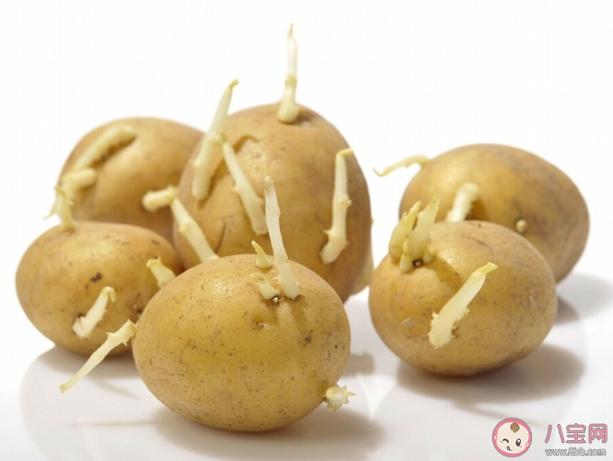 準媽媽孕期10種蔬菜不要吃 孕期吃蔬菜注意事項