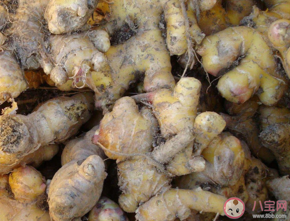 準媽媽孕期10種蔬菜不要吃 孕期吃蔬菜注意事項