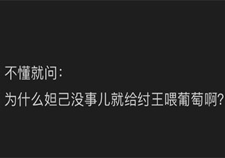 妲己總喂紂王吃葡萄的原因是什么 商朝有葡萄嗎