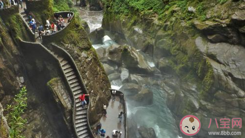 重慶4500度懸崖旋轉(zhuǎn)樓梯在哪 值得一去的樓梯景點(diǎn)有哪些 重慶4500度懸崖旋轉(zhuǎn)樓梯在哪 值得一去的樓梯景點(diǎn)有哪些